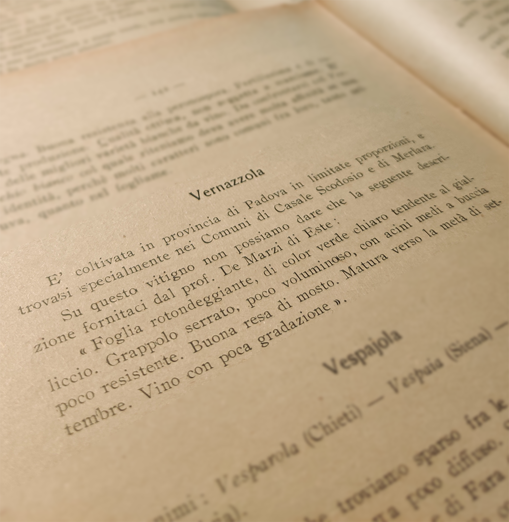 prova libro