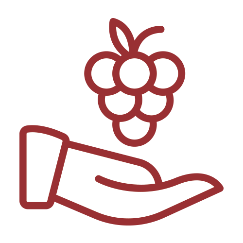 vendemmia